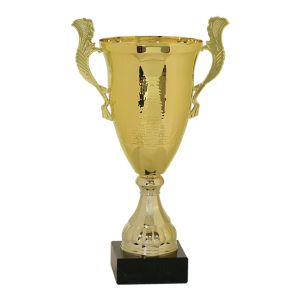 Ripple Cup Trophy