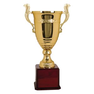 CMC923G Metal Cup Trophy