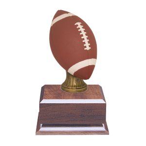 Color Football Fantasy Trophy