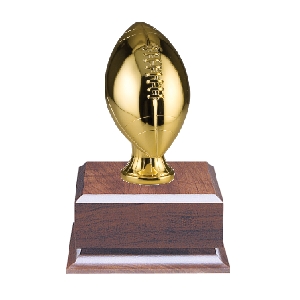 Gold Football Fantasy Trophy